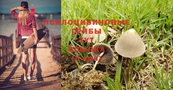 а пвп мука Новокубанск