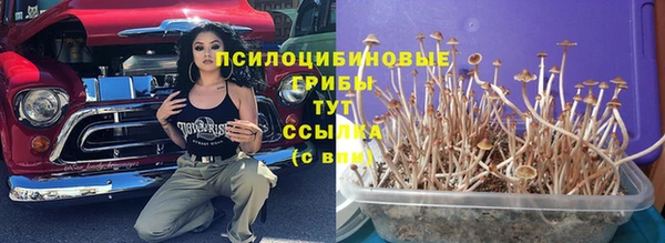 а пвп мука Новокубанск