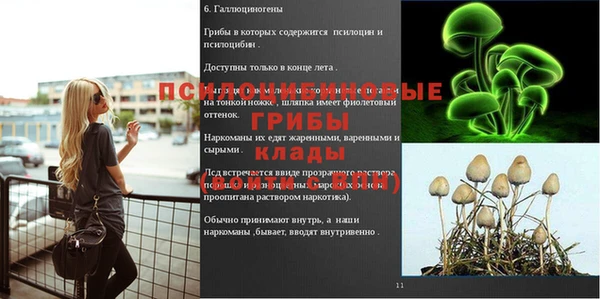 а пвп мука Новокубанск