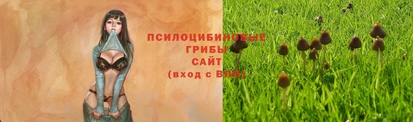 кокс Новозыбков