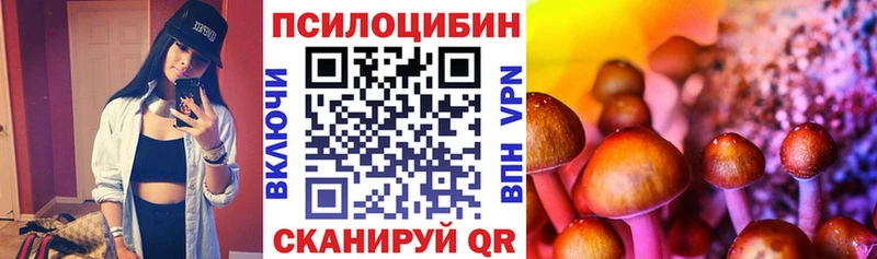 Псилоцибиновые грибы Cubensis  наркота  Томилино 